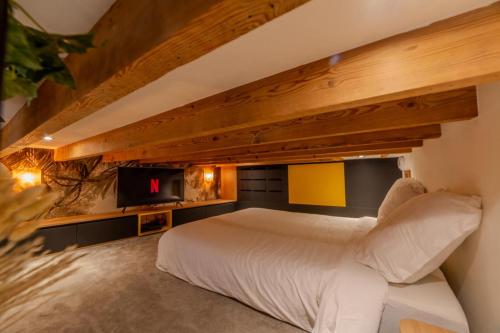 - une chambre avec un grand lit et une télévision dans l'établissement Magnifique appartement de caractère en hypercentre, à Lyon