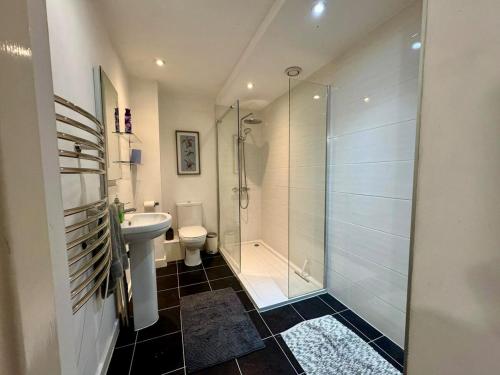 a bathroom with a shower and a toilet and a sink at Penthouse with City Views in Bristol