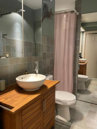 a bathroom with a sink and a toilet and a shower at La Corneille en Mer in Ostend