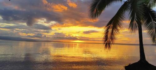 Foto dalla galleria di Glamping y Camping Zompopas Trails Costa Rica a Puerto Jiménez