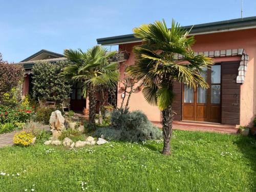 a house with two palm trees in the yard at Betty House in Legnaro