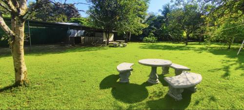 Foto dalla galleria di Glamping y Camping Zompopas Trails Costa Rica a Puerto Jiménez