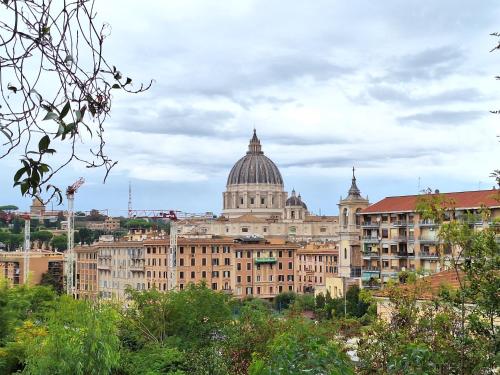 Delmirani's Book Apartments - Vatican View photo 64