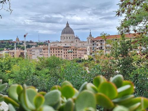 Delmirani's Book Apartments - Vatican View photo 36
