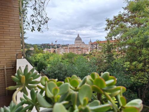 Delmirani's Book Apartments - Vatican View photo 65