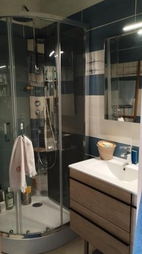 une salle de bain avec une douche et un lavabo et une douche dans l'établissement Maison de vacances belle campagne auvergnate en Combrailles, à Saint-Julien-la-Geneste
