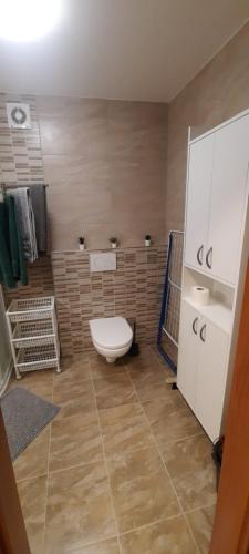 a bathroom with a toilet and a sink at U Monoskiera in Hořejší Vrchlabí