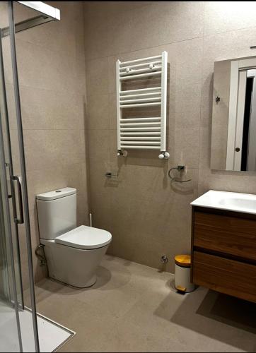 a bathroom with a toilet and a sink and a mirror at Apartamentos Ovetum in Oviedo