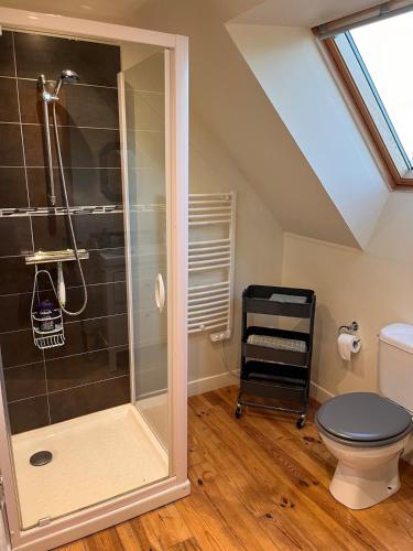 une salle de bain avec douche et toilettes dans l'établissement Petit loft de charme en centre Bretagne - Brocéliande, à La Croix-Helléan