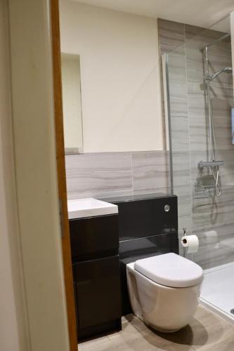a bathroom with a toilet and a sink and a shower at The Pig Inn in Snaith
