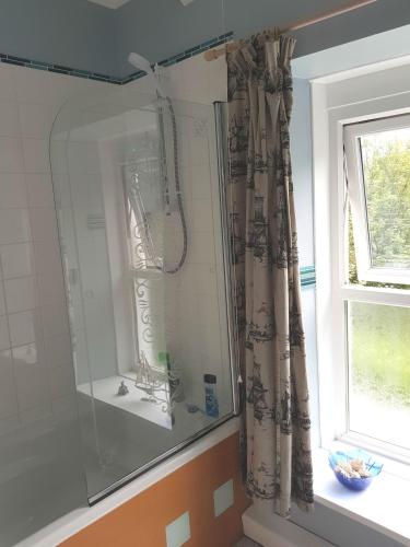 a shower in a bathroom next to a window at Cosy Cottage overlooking the Teifi Gorge in Cilgerran