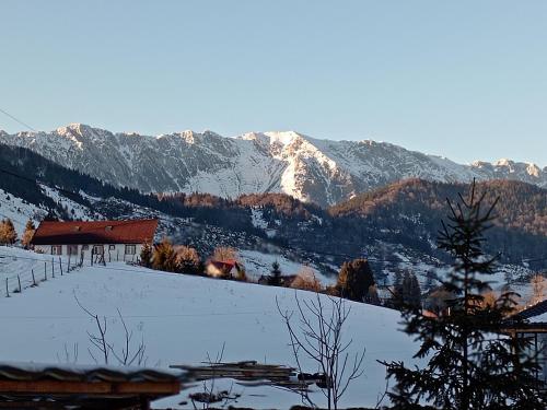a snow covered mountain with a building in the foreground at Casa Corina Sirnea in Şirnea