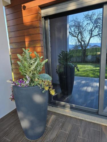 two large potted plants sitting on a window sill at Petit Maison in Além da Ribeira