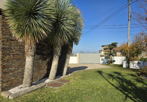 two palm trees in a yard next to a brick wall at Petit Maison in Além da Ribeira