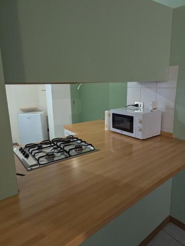 アスティにあるOddone Houseのキッチンカウンターの上に置かれた電子レンジ