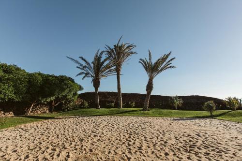 a dirt road with palm trees in the background at La Pausa in Tías