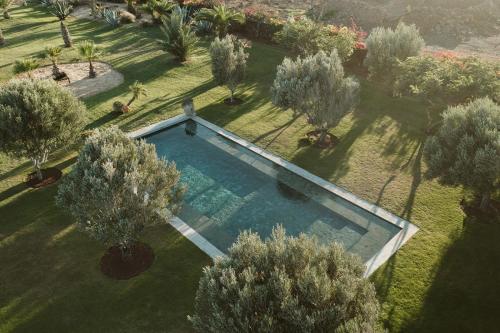 an overhead view of a swimming pool in a field with trees at La Pausa in Tías