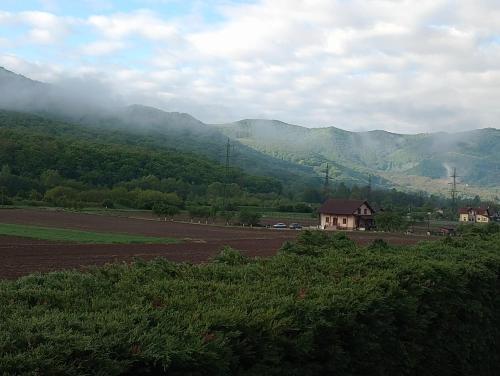 a house in a field with mountains in the background at Vila Gosen in Şard