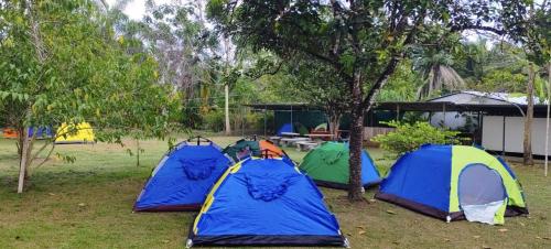 Zahrada ubytování Glamping y Camping Zompopas Trails Costa Rica