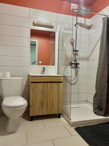 une salle de bain avec toilettes, douche et lavabo dans l'établissement Terracotta Nougat, à Montélimar