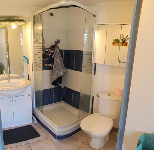 une salle de bain avec une douche, des toilettes et un lavabo dans l'établissement Maison avec piscine dans résidence, à Béziers