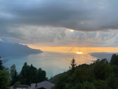 a view of a large body of water at Maison verte in Roche