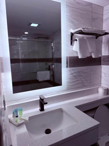 a bathroom with a sink and a mirror at The Vine Hotel Bronx New in Bronx