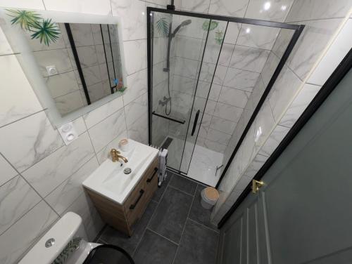 une salle de bain avec douche et lavabo dans l'établissement Appartement verdoyant au bord du lac Leman entre Evian et Thonon dans une Villa, à Publier