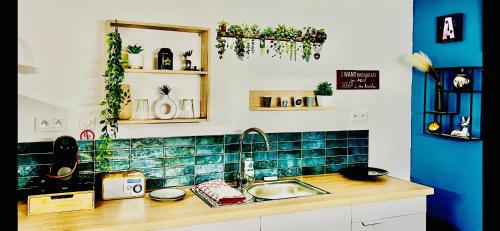 Kuchyň nebo kuchyňský kout v ubytování Le loft 62 mdh Calais côte d opale plage