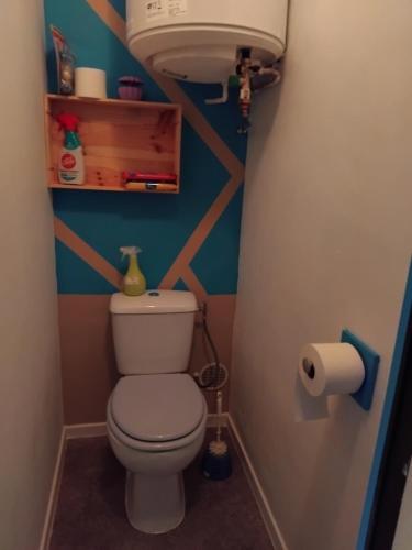 - une petite salle de bains avec des toilettes et un rouleau de papier toilette dans l'établissement Détente curiste, à Gréoux-les-Bains
