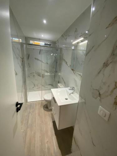 une salle de bain avec une douche, un lavabo et des toilettes dans l'établissement Croisette Palm Beach Studio, à Cannes