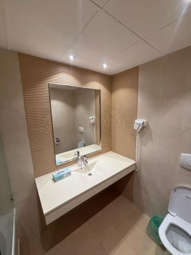 a bathroom with a sink and a toilet at Cataleya Luxury Room's in Bucharest