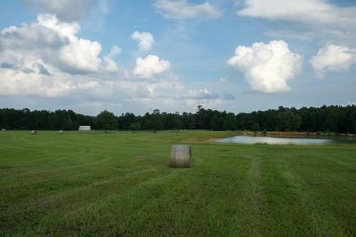 Naturlandskabet i nærheden af feriehuset