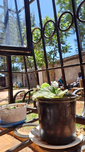 Fotografie z fotogalerie ubytování Indovu Back Packers v destinaci Nairobi