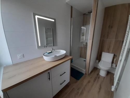 une salle de bain avec un lavabo et des toilettes dans l'établissement Appartement familial 2 pièces, à Argelès-Gazost