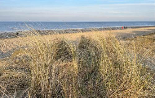 a field of tall grass on the beach at Ferienwohnung Himmelsglueck in Wangerland