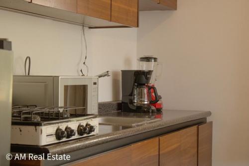 Кухня или мини-кухня в Mikono Rentals - Departamento, quinta, cabaña en Santiago
