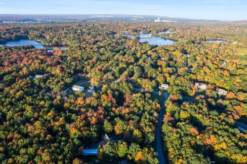 an aerial view of a forest with trees and water at Serene Whitetail Retreat Entertainment Galore in Long Pond