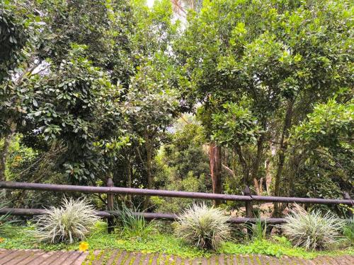 a wooden fence in front of trees and plants at Montaña Sanadora in Medellín