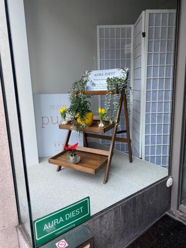a shop display with a table with plants on it at Aura Diest in Diest