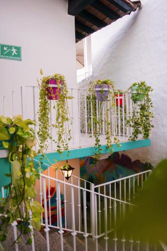 Zahrada ubytování Casa Maria Hotel Boutique & Gallery Adults Only