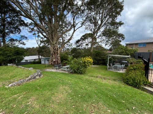 a yard with a large tree and a gazebo at The Tree Motel in Narooma