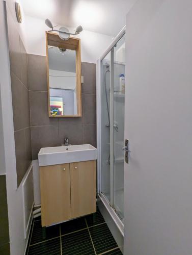 une salle de bain avec un lavabo et une douche dans l'établissement Studio cosy, refait à neuf, à Paris