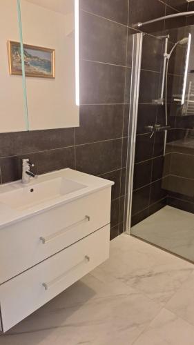 une salle de bain avec un lavabo et une douche dans l'établissement Beau 2 pièces rue d'Antibes, à Cannes