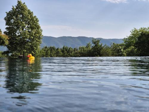 Lou damisello - Villa moderne