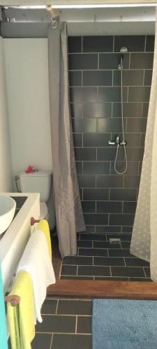 a bathroom with a shower with black tiles at Bungalow les pieds ds l eau, La Maison Bleue in Moorea