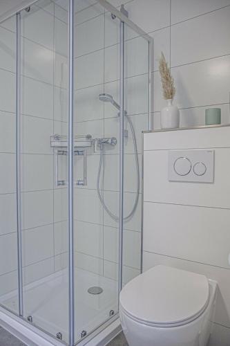 a bathroom with a shower and a toilet at Grape Escape Zell in Zell an der Mosel