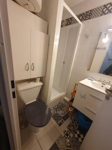 une salle de bain avec toilettes et lavabo dans l'établissement Joli appartement cosy T2, à Leucate-Plage