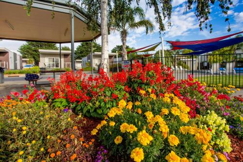 a garden of colorful flowers in a park at Discovery Parks - Melbourne in Braybrook