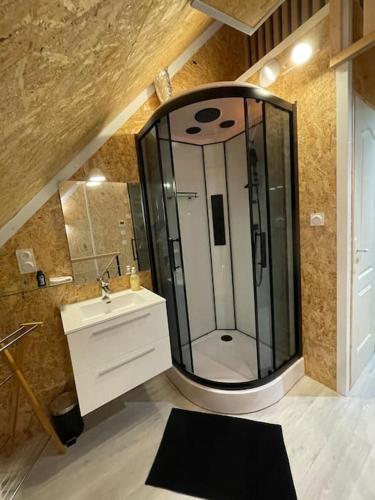 La salle de bains est pourvue d'une grande douche et d'un lavabo. dans l'établissement Chez GL, à Couilly-Pont-aux-Dames